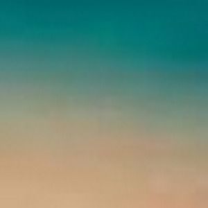 Meet your Posher, Addison